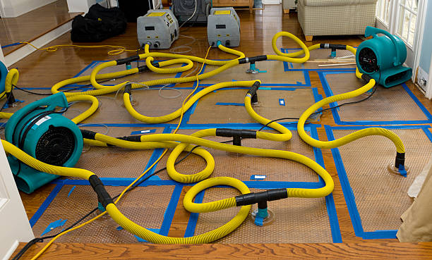 Professional Water Damage Repair technician working in Dalton, PA